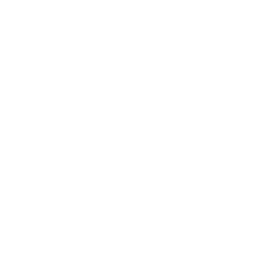 Shopping del Este