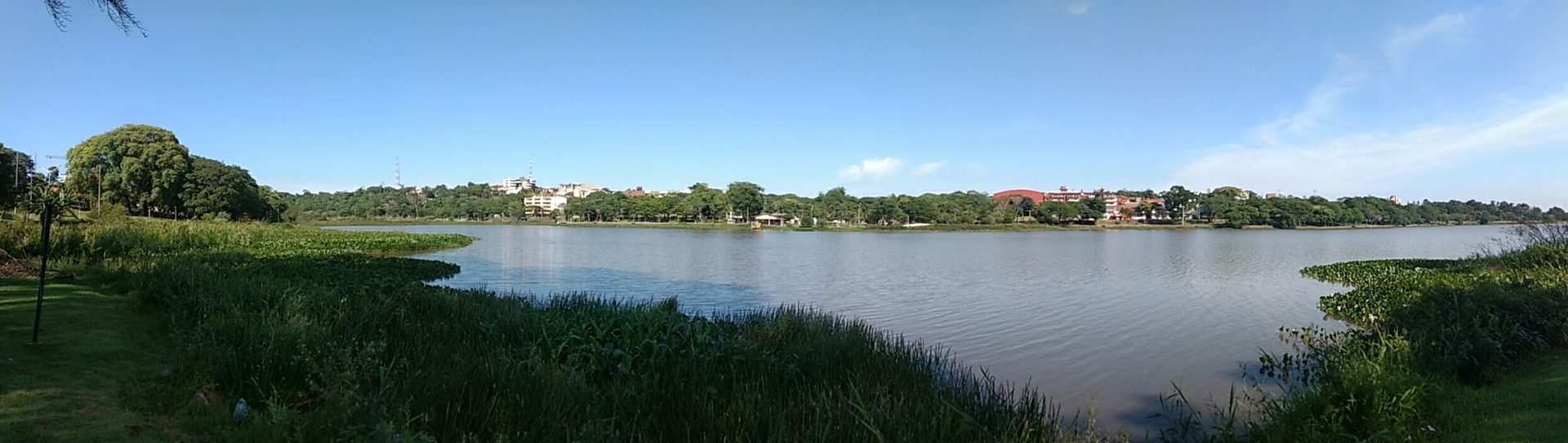 Los Altos 2