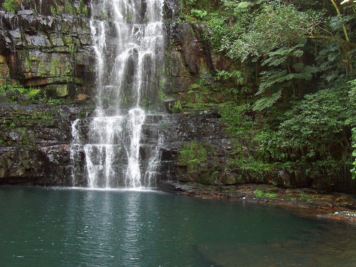La Colmena