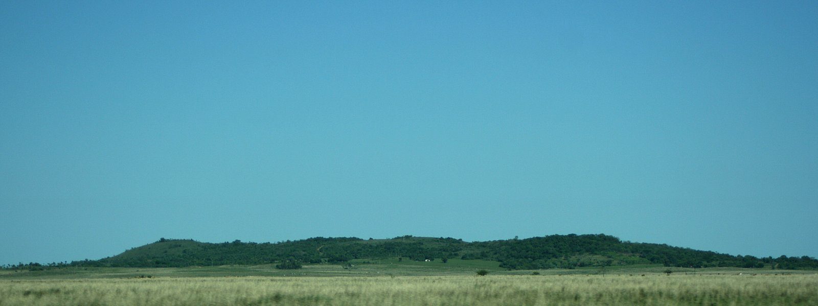 San Miguel 2