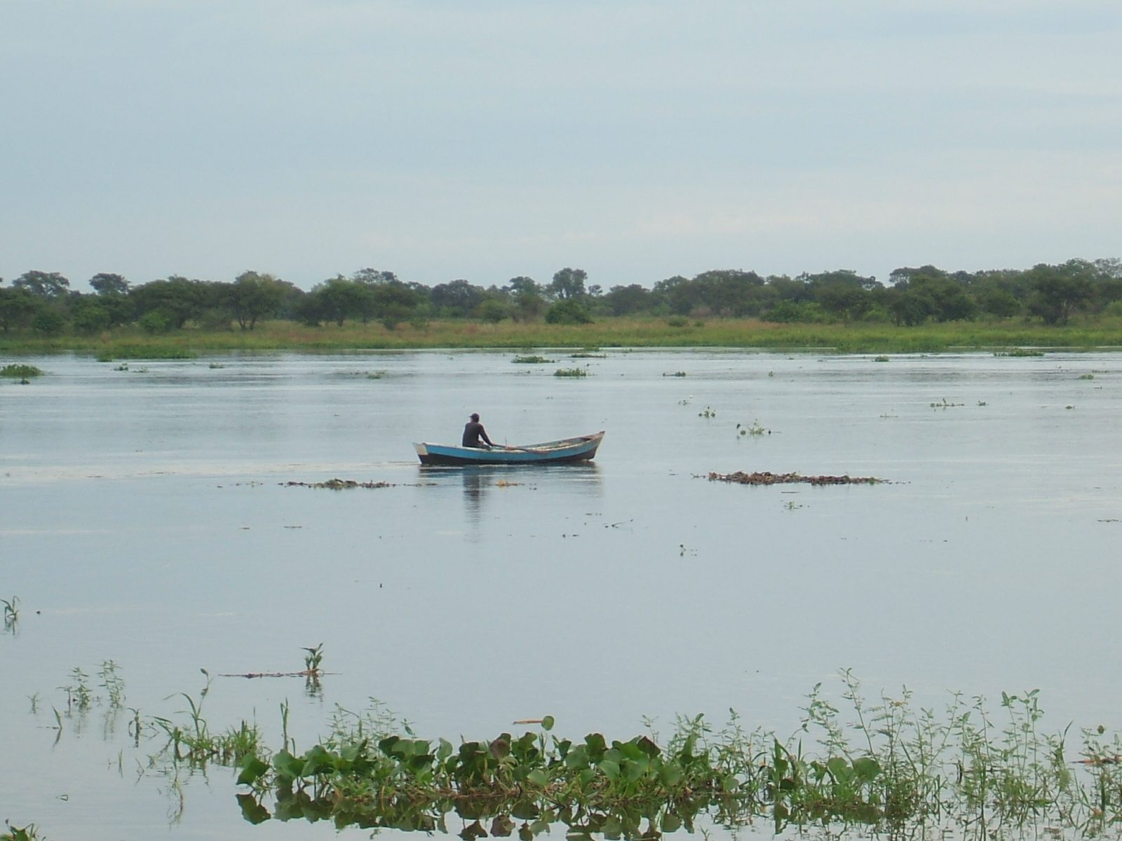 Naranjaisy 2