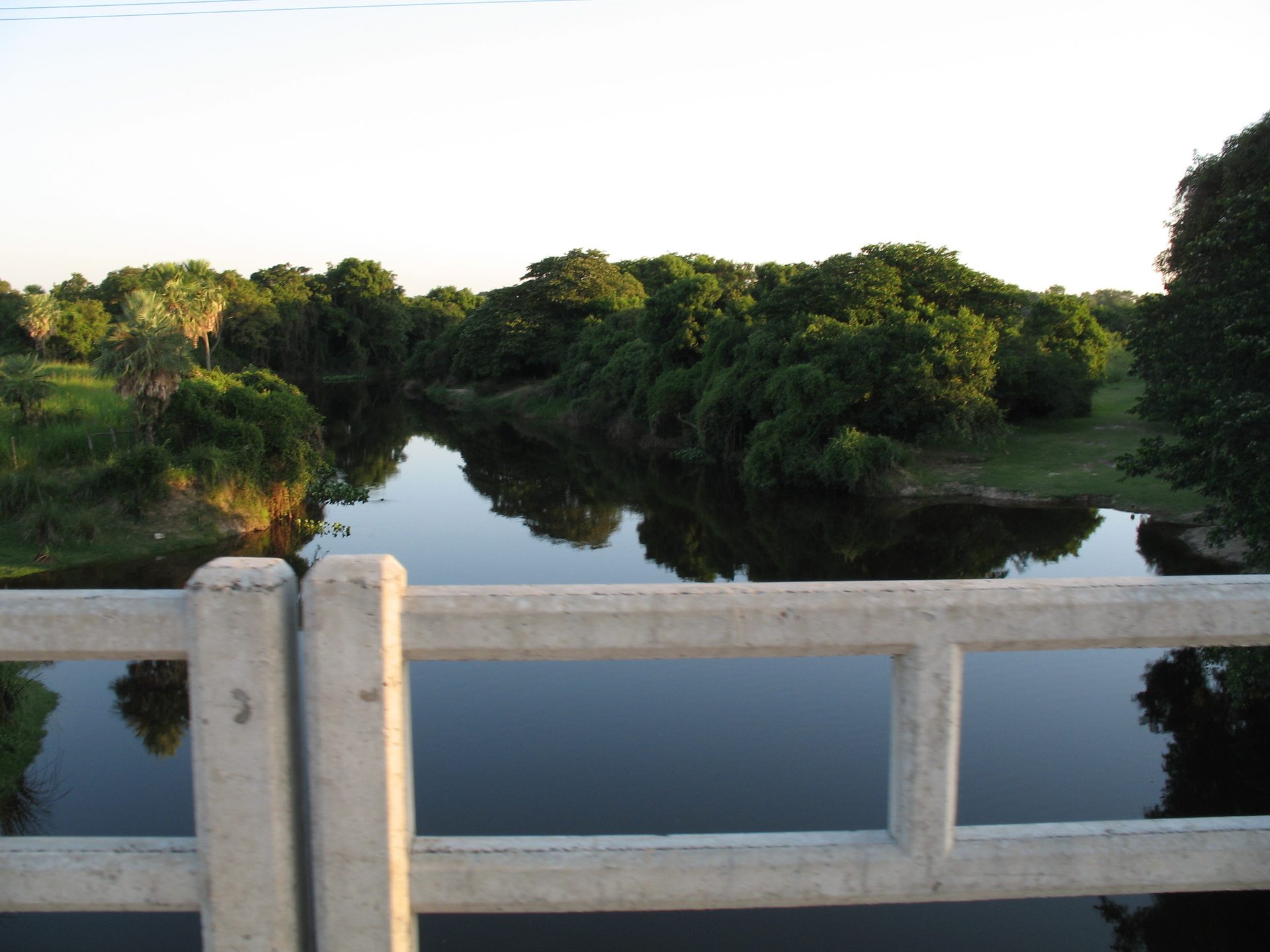 Naranjaisy 3